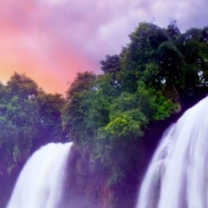 Meet your Posher, Francine